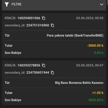 Betdog Ödeme Yapmıyor Oyalıyor