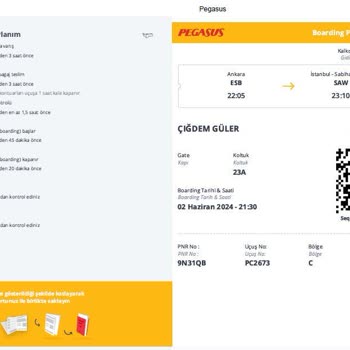 Pegasus'un Uçuşlarının Hepsi Neden Gecikmeli?