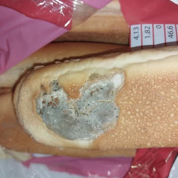 BİM Marketten Aldığım Ekmeğin Küflü Çıkması!