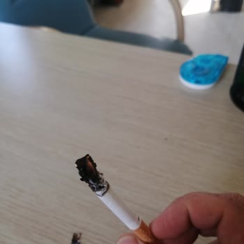 Philip Morris Tütün Yerine Odun