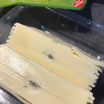 Pınar Et ve Süt Marketten Alınan Kaşar Peynirinde Küflenme Sorunu