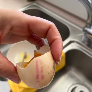 Alibabanın Çiftliği Restaurant Organik Yumurtalarda Kalite Sorunu