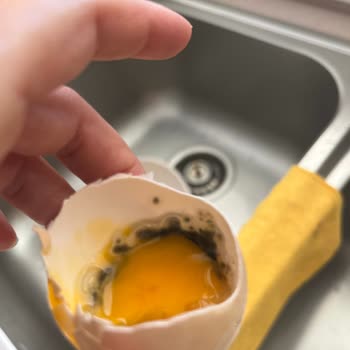 Alibabanın Çiftliği Restaurant Organik Yumurtalarda Kalite Sorunu