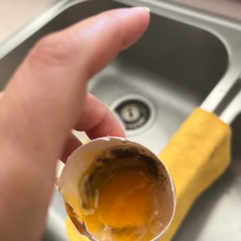 Alibabanın Çiftliği Restaurant Organik Yumurtalarda Kalite Sorunu