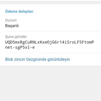 Binance Telegram'dan Memo Adresi Girmeden Notcoin Gönderdim Gelmedi