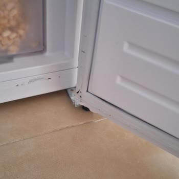 Vestel Buzdolabında Sürekli Yaşanan Paslanma Ve Boya Sorunları