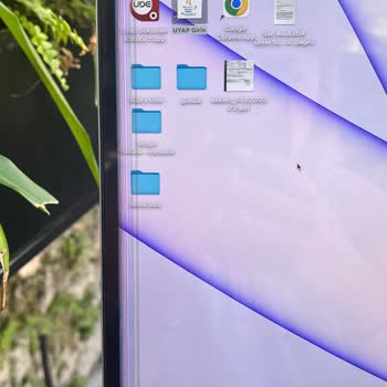 Pegasus Bagaj Hasarı, Bilgisayarımın Ekranı Bozuldu