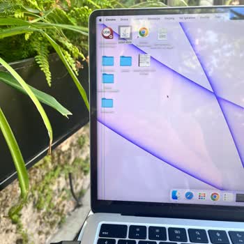 Pegasus Bagaj Hasarı, Bilgisayarımın Ekranı Bozuldu