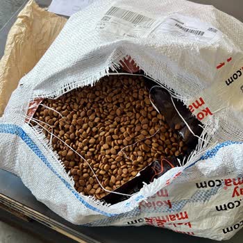 KolayMama Paketi Yırtık Kedi Maması Gönderimi