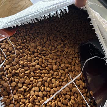 KolayMama Paketi Yırtık Kedi Maması Gönderimi