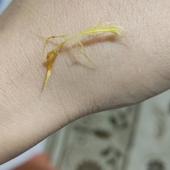 Mersin Silifke Damak Döner'de Kuş Tüyü!