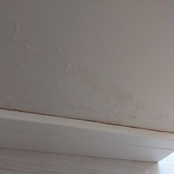 Zeray İnşaat Zeray Effect =her Günün Eziyet Ev Alın Sinir Sahibi Olun