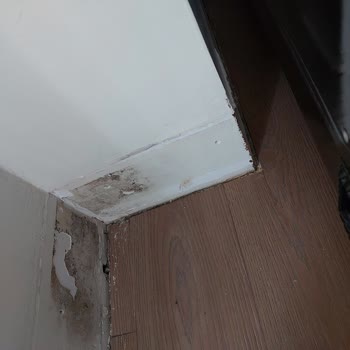 Zeray İnşaat Zeray Effect =her Günün Eziyet Ev Alın Sinir Sahibi Olun