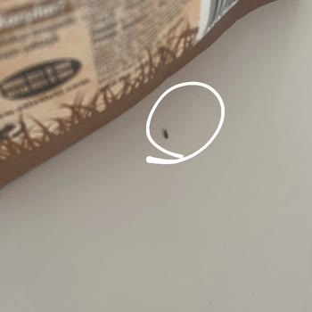 Eti Gıda Eti Lifalif Yulaftan Kurtlar Çıktı!