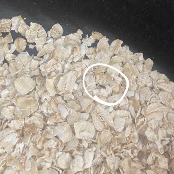 Eti Gıda Eti Lifalif Yulaftan Kurtlar Çıktı!