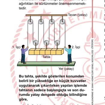 Milli Eğitim Bakanlığı (MEB) LGS 2024 Fen 13. Soru