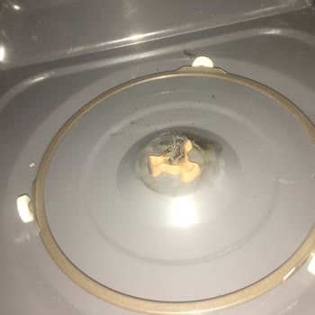 Carrefour SA Dijitsu Mikrodalga Fırın 3 Ay Dolmadan Alev Çıkarttı