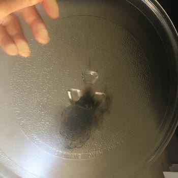 Carrefour SA Dijitsu Mikrodalga Fırın 3 Ay Dolmadan Alev Çıkarttı