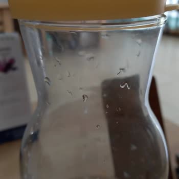 LAV Plastik Kapak Cam Sürahinin İçine Koku Veriyor Su İçilmiyor