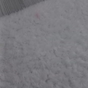 Altın Bursa Halı Yıkama Ürünün Arkası Yanmış Bir Şekilde Geldi!