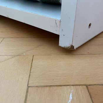 Ranza.com'dan Alışveriş Yapmanın Sonucu