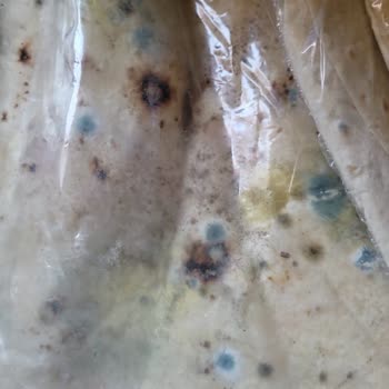 PTT Kargo Kargo Zararımın Karşılanması Talebi