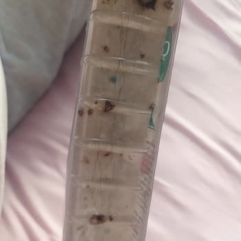 A101 Küflü Bozuk Ürünler