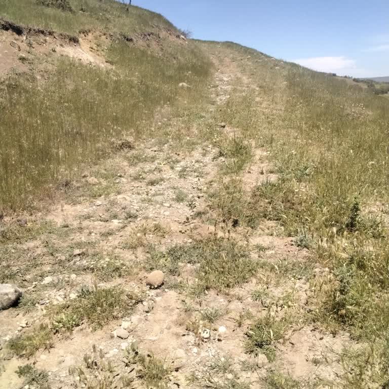 Tunceli İl Özel İdaresi Yapılmayan Yollar Tunceli Akdüven Köyü