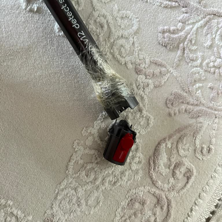 Dyson Süpürgemi 1 Aydır Kullanamıyorum