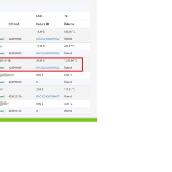 Natro Hosting Hatalı Ödeme Alıp İade Etmiyor