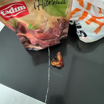 Tadım Hurmadan Çıkan Kurt Ve Siyah Tozlar