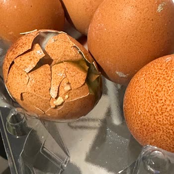 Kumartaşlı Gıda Getir'den Aldığım Yumurtanın İçinden Civciv Çıktı