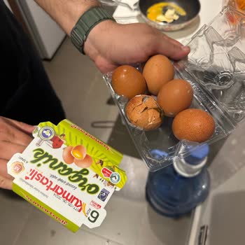 Kumartaşlı Gıda Getir'den Aldığım Yumurtanın İçinden Civciv Çıktı