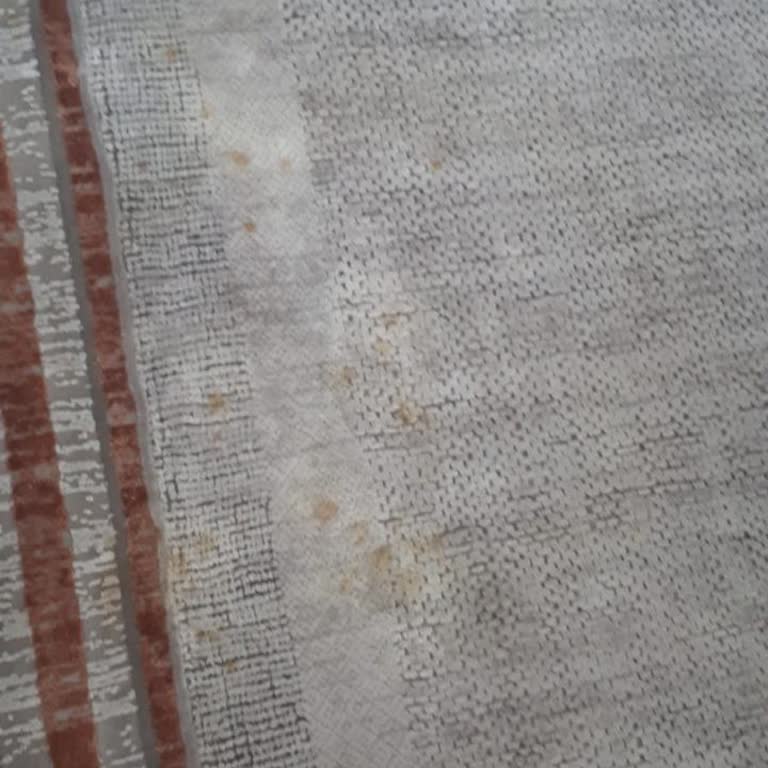 Merinos Halı Ve Merinos Müşteri Hizmetleri