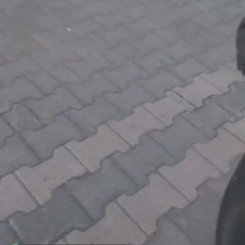 dahadaha.com Hediye Ürün Gelmedi!