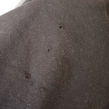 Bosch Çamaşır Makinesi Kıyafetlerimi Deliyor