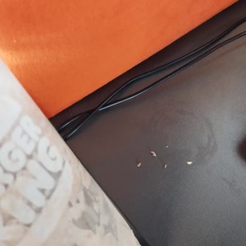 Burger King Milkshake Ten Çıkan Kağıt Parçaları