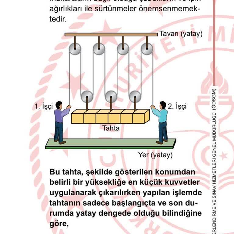 MEB LGS Fen 13. Sorun