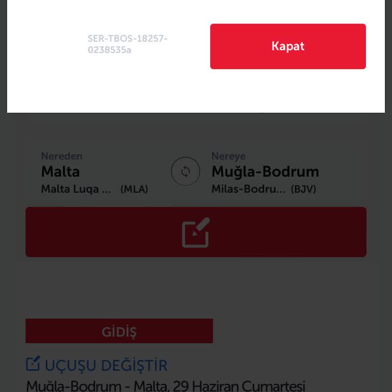 Türk Hava Yolları Bilet Değişikliği Yapamıyorum