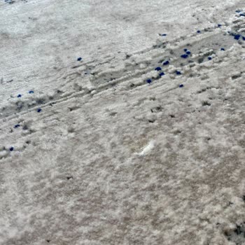 Gümüşsuyu Halı Mobilya Mağazasında Halı Problemi Ve Müşteri Mağduriyeti