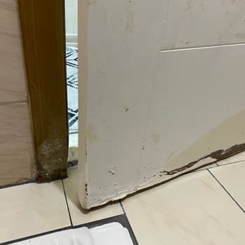 Orient Sigorta A. Ş Firması Mağdurum