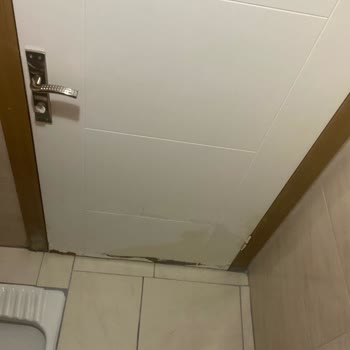 Orient Sigorta A. Ş Firması Mağdurum