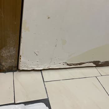 Orient Sigorta A. Ş Firması Mağdurum