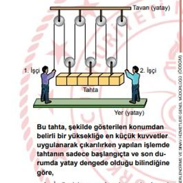 Milli Eğitim Bakanlığı (MEB) LGS 2024 Hatalı Fen Sorusu A Kitapçığı 13. Soru
