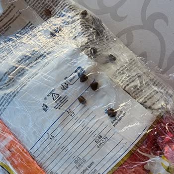 Sendeo (zoo) Sanatı Akvaryum Pet Shop Firması İzmir Www.zoo.com.tr