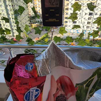 Sendeo (zoo) Sanatı Akvaryum Pet Shop Firması İzmir Www.zoo.com.tr