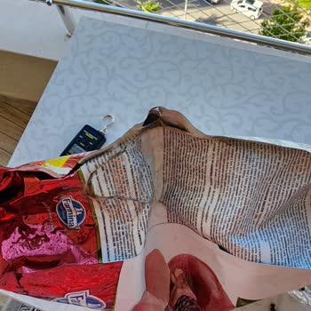 Sendeo (zoo) Sanatı Akvaryum Pet Shop Firması İzmir Www.zoo.com.tr