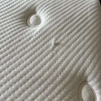 Yataş Bizi Rezil Etti İlgisiz Davrandı İsteğimizi Karşılamadı