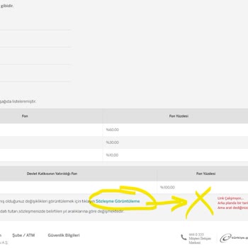 Garanti BBVA Emeklilik ve Hayat Garanti BBVA EMK. 2000 Lira Anaparama El Koydu! Yönetim Gideriymiş!
