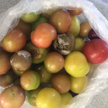 Arçelik 274532 MB Buzdolabı Sorunları!